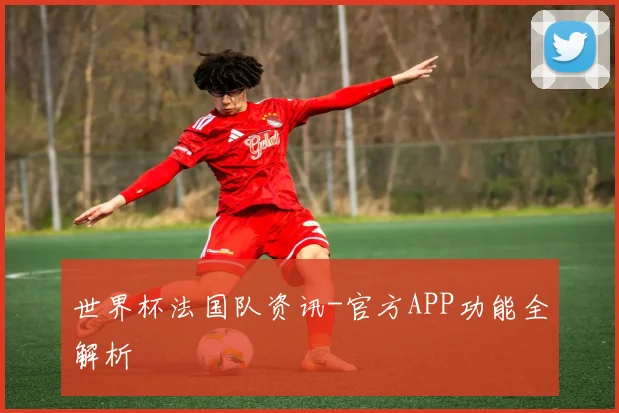 世界杯法国队资讯-官方APP功能全解析